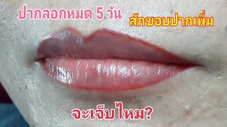 สักขอบปากเพิ่มหลังลอกหมด 5 วัน เจ๊บไหม?