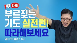 (똑같이 따라 하는) 부르짖는 기도 실전편 『부르짖는 기도의 비밀』 저자 송준기 목사 | 롬팔이팔