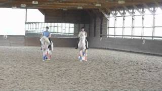 Rough-cut Saphiro and Zinfendel Interagro first pas de deux practice.m4v