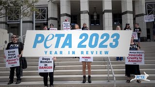 See How PETA Made 2023 a Historic Year for Animal Rights!