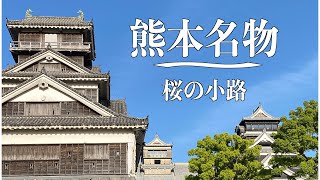 【熊本名物】熊本の名物が食べたければここしかない❗️桜の小路。