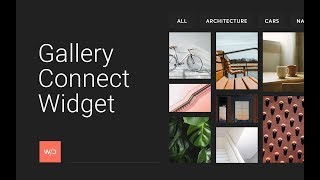 Gallery Connect Widget | Tutorial by Without Code