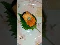 sushi sea urchin uni nigiri from hokkaido