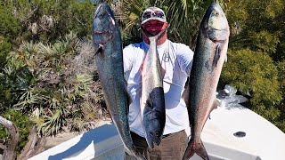 Florida has a case of the BLUES *** most INSANE action I've ever seen at the Ponce Inlet Jetty