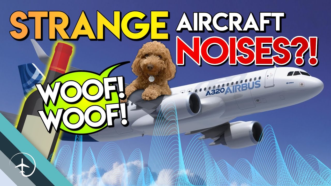 Strange Airplane NOISES! Boeing Vs Airbus - YouTube