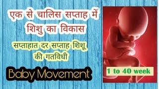 बच्चा बनने की प्रक्रिया 1 सप्ताह से 40 सप्ताह तक Pregnancy Week by Week