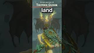 Thunder Gleeok No Hit No Paraglider In Tears Of The Kingdom