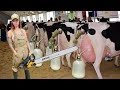 Mind-blowing Cow Transport With Super Big Tractors - Unbelievable Girls On Dairy Farm!