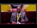 Gana takes charge of Phala Phala impeachment inquiry