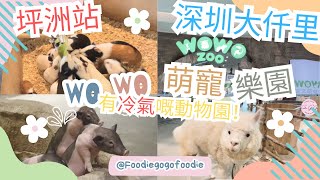 大仟里 ｜wowo 萌寵樂園 ｜坪洲站A出口｜寶安區｜動物園 ｜深圳 ｜親子 ｜ 北上｜深圳一日遊