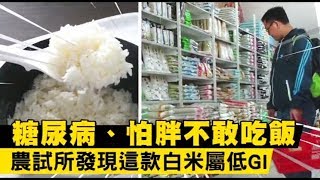 【米的革命】糖尿病、怕胖不敢吃　農試所分析認證！這款米低GI | 蘋果新聞網