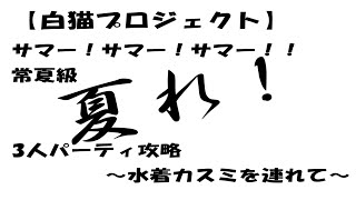 サマー常夏級【白猫】サマーソウルイベ常夏級攻略