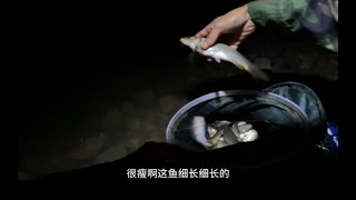 骑行游钓贵州，找到一个不起眼的小水库里面小鲤鱼泛滥成灾