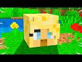 TINY Minecraft House Battle vs PrestonPlayz!