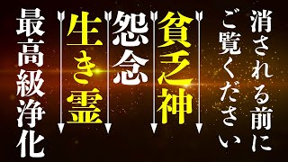 ３分で速攻浄化⛩️貧乏神・怨念・生き霊は知らないうちに憑いてきます。【最高級浄化】白山比咩神社「聖なる禊場」