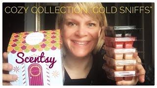 Scentsy Cozy Collection - “Cold Sniffs”