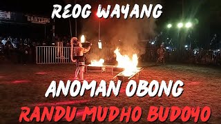 Reog wayang Randu Mudho Budoyo lakon anoman obong parts 2 live pereng Bumirejo Lendah kulon progo