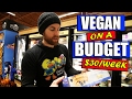 Vegan On A Budget $30/Week