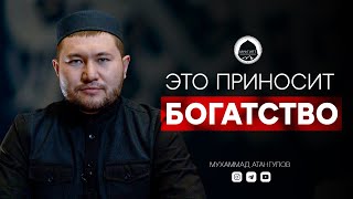 ЭТО ПРИНОСИТ БОГАТСТВО | Имам из Дагестана Мухаммад Атангулов