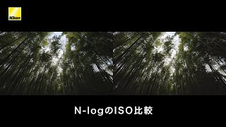 「N-Log」ISO比較 | ニコン