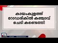 കായംകുളത്ത് റോഡരികിൽ കഞ്ചാവ് ചെടികൾ എക്സൈസ് ഉദ്യോ​ഗസ്ഥരെത്തി നശിപ്പിച്ചു kayamkulam cannabis