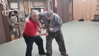 Bujinkan/Ninjutsu/Noguchi Sensei