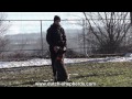 DUTCH SHEPHERD   BIBI & Viorel Scinteie in a crazyyy obedience training !!!