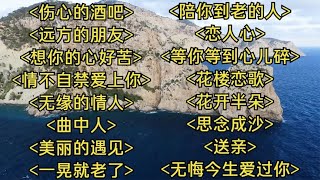 催泪情歌伤心的酒吧远方的朋友想你的心好苦曲中人