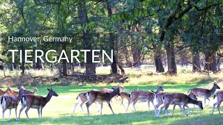 Day Trip to Tiergarten Hannover