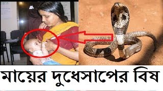 মায়ের দুধে সাপের বিষ ! আর সেই দুধ পানে যা হল দেখুন ভিডিওতে