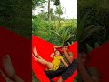 AYUNAN DI KEBUN SORE HARI 😊 #viralvideo #trending #shorts #short #shortvideo #funny