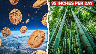 9 SHOCKING Facts You Never Knew Existed Until Now!