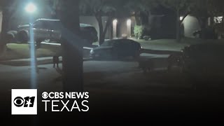 Mesquite residents demand action as feral hog sightings, damage continue