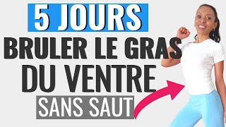 Perdre la Graisse du Ventre en 5 Jours : Exercices Simples et Sans Saut