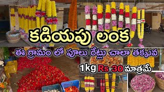 #kadiyapulanka flowers market 🌼🌷🪷💐#ఈ మార్కేట్ లో పువ్వులు చాలా చౌక #village #flowers #market #vlogs