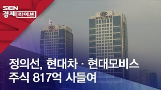 정의선, 현대차·현대모비스 주식 817억 사들여