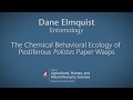 Dane Elmquist--The Chemical and Behavioral Ecology of Pestiferous PolistesPaper Wasps