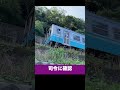 2023年8月14日　予讃線海線 倒木で不通 運転再開まで 伊予上灘 下灘 予讃線 鉄道事故