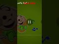toyor baby into
