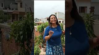 मेरे टैरेस गार्डन का टूर | terrace garden tour | Tour of my terrace garden । terrace gardening ideas