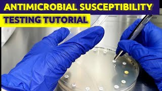 Antimicrobial Susceptibility Testing Part 1| Medical Laboratory Science