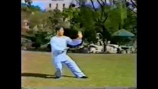 Shao Shankang (邵善康), Yang Shi Taiji Quan 85 Shi