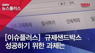 [이슈플러스]  규제샌드박스 성공하기 위한 과제는