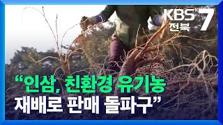 값 떨어져도 판로 없는 인삼…“친환경 유기농 재배로 돌파구” / KBS  2021.11.24.