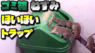 ゴミ箱でネズミほいほいトラップ2