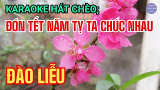 Karaoke Hát Chèo ; Đón Tết Năm Tỵ Ta Chúc Nhau _ SL : Anh Khoa Mạnh Hùng Quan Họ _ Điệu ; Đào Liễu