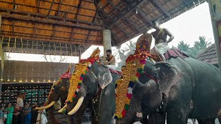 sree lokanarkavu temple pooram kazhchasheeveli