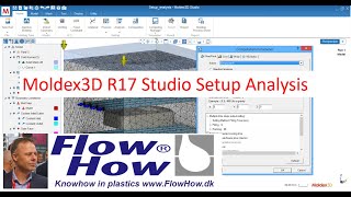 Moldex3D Studio R17 setup analysis mesh, material, process and computation parameters.