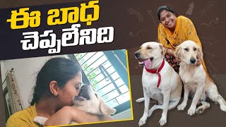 మొత్తానికి puppies అన్ని వెల్లిపోయాయి ఒక్కక్కొక్కటి ఇలా ఇవ్వడం ఎంత బాధగా వుంటుందో 🥺🥺 | TTH