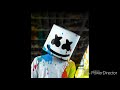 Marshmello 2018-2019 photos